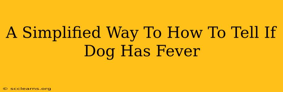 A Simplified Way To How To Tell If Dog Has Fever