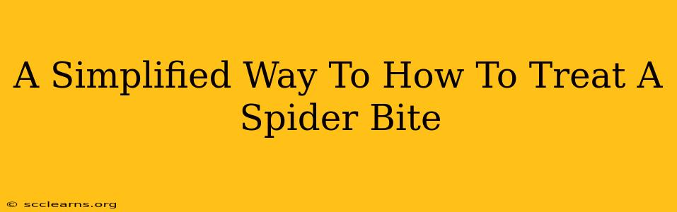 A Simplified Way To How To Treat A Spider Bite