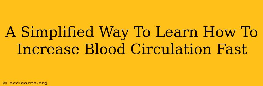 A Simplified Way To Learn How To Increase Blood Circulation Fast