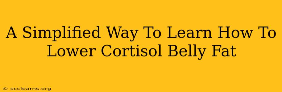 A Simplified Way To Learn How To Lower Cortisol Belly Fat