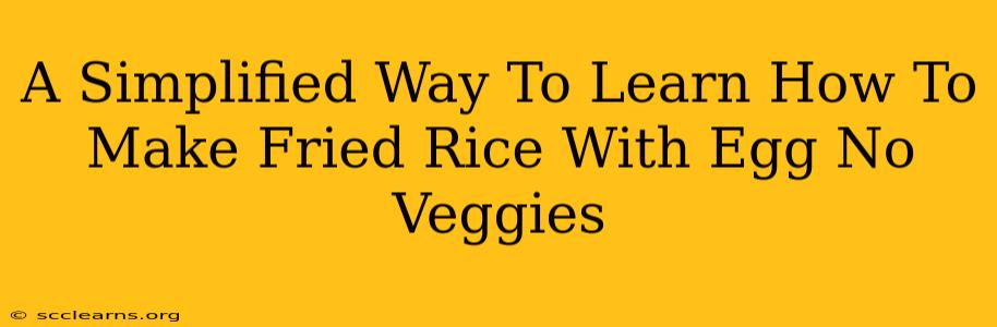 A Simplified Way To Learn How To Make Fried Rice With Egg No Veggies