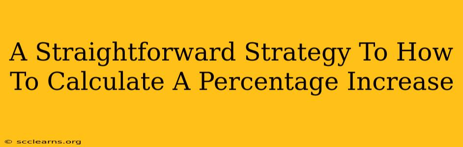 A Straightforward Strategy To How To Calculate A Percentage Increase