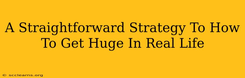 A Straightforward Strategy To How To Get Huge In Real Life