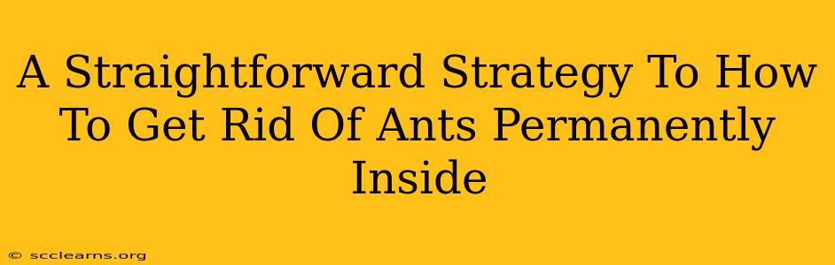 A Straightforward Strategy To How To Get Rid Of Ants Permanently Inside