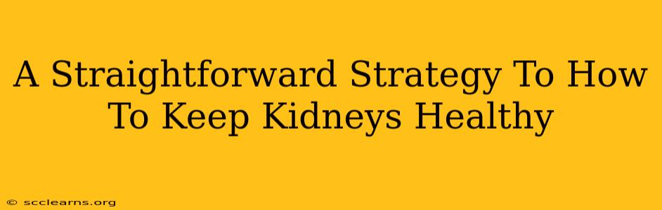 A Straightforward Strategy To How To Keep Kidneys Healthy