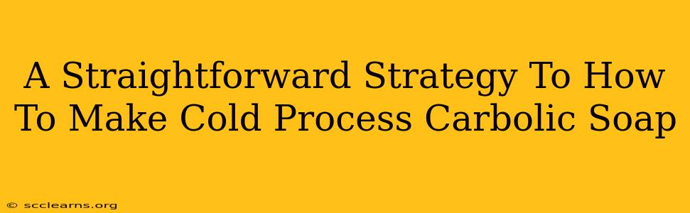 A Straightforward Strategy To How To Make Cold Process Carbolic Soap