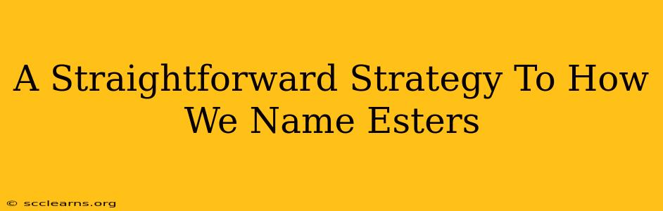 A Straightforward Strategy To How We Name Esters