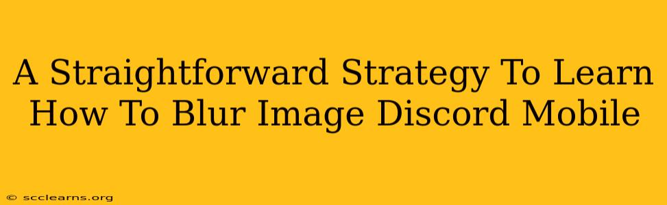 A Straightforward Strategy To Learn How To Blur Image Discord Mobile