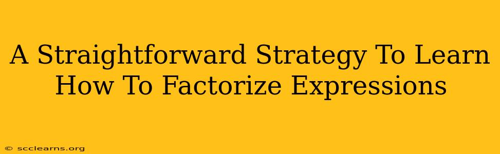 A Straightforward Strategy To Learn How To Factorize Expressions