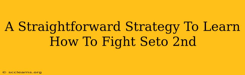 A Straightforward Strategy To Learn How To Fight Seto 2nd