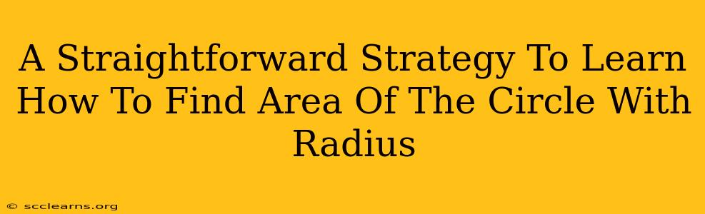 A Straightforward Strategy To Learn How To Find Area Of The Circle With Radius