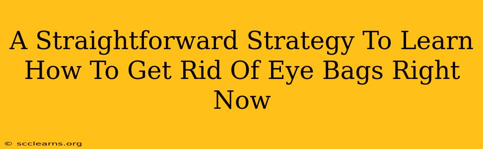 A Straightforward Strategy To Learn How To Get Rid Of Eye Bags Right Now