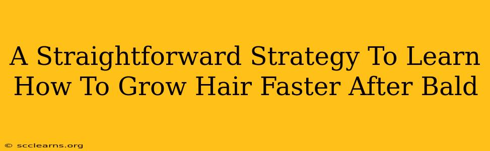 A Straightforward Strategy To Learn How To Grow Hair Faster After Bald