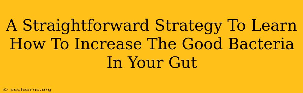 A Straightforward Strategy To Learn How To Increase The Good Bacteria In Your Gut