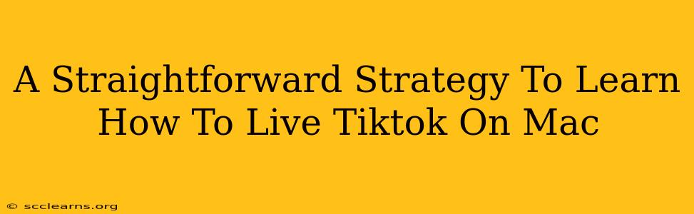 A Straightforward Strategy To Learn How To Live Tiktok On Mac