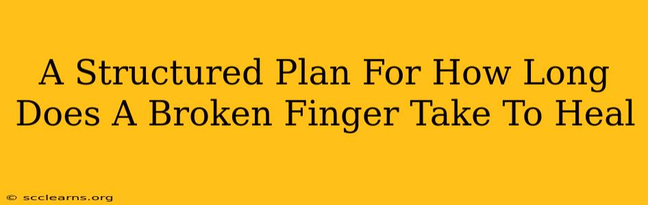 A Structured Plan For How Long Does A Broken Finger Take To Heal