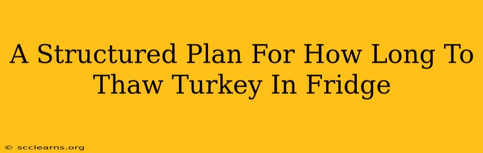 A Structured Plan For How Long To Thaw Turkey In Fridge