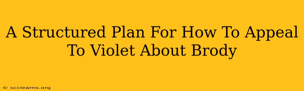 A Structured Plan For How To Appeal To Violet About Brody