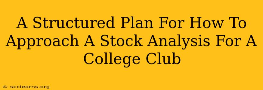 A Structured Plan For How To Approach A Stock Analysis For A College Club