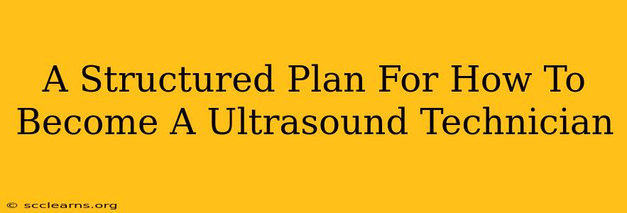 A Structured Plan For How To Become A Ultrasound Technician