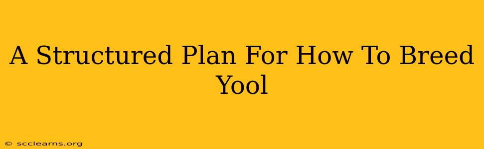 A Structured Plan For How To Breed Yool