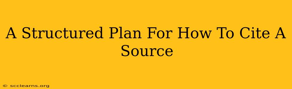 A Structured Plan For How To Cite A Source