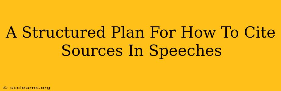 A Structured Plan For How To Cite Sources In Speeches