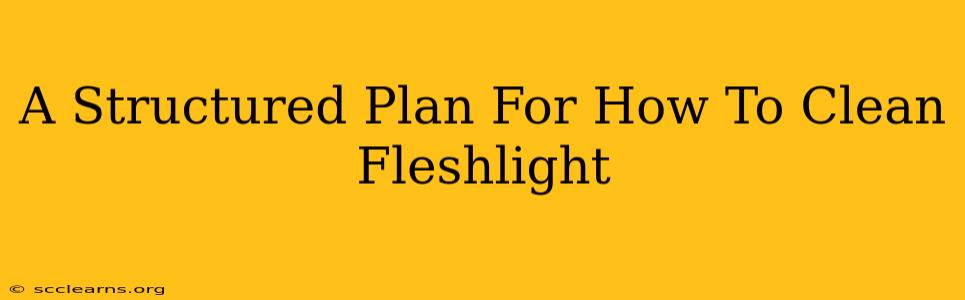 A Structured Plan For How To Clean Fleshlight