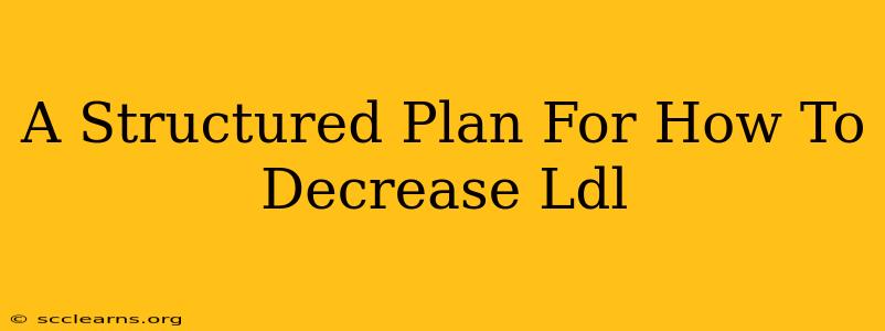 A Structured Plan For How To Decrease Ldl