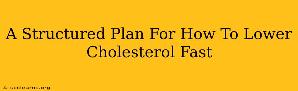 A Structured Plan For How To Lower Cholesterol Fast