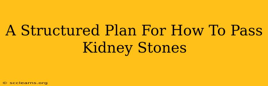 A Structured Plan For How To Pass Kidney Stones