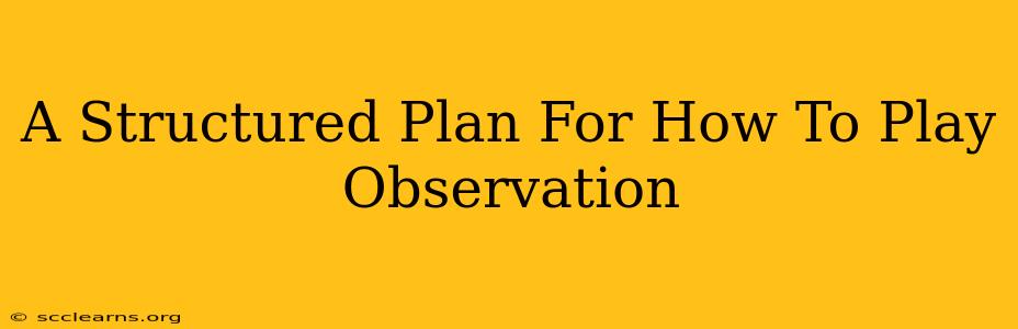 A Structured Plan For How To Play Observation