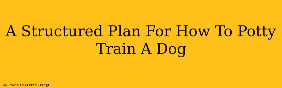 A Structured Plan For How To Potty Train A Dog