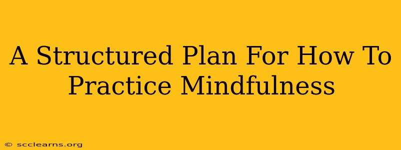 A Structured Plan For How To Practice Mindfulness