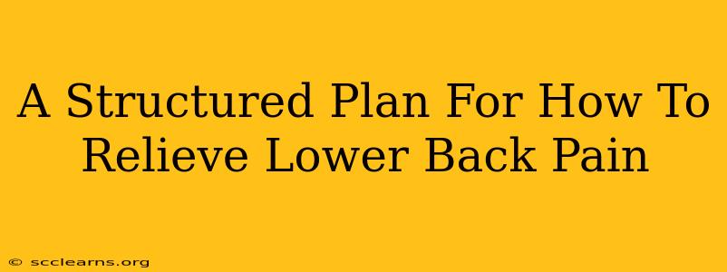 A Structured Plan For How To Relieve Lower Back Pain