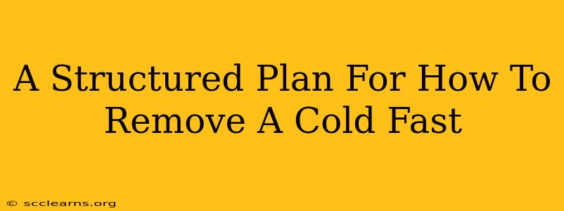 A Structured Plan For How To Remove A Cold Fast