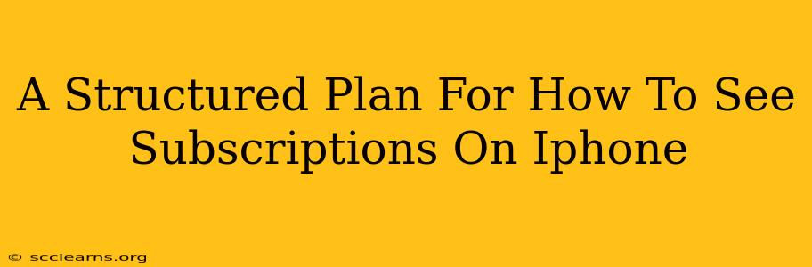 A Structured Plan For How To See Subscriptions On Iphone