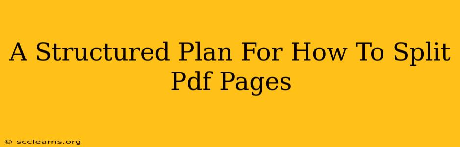 A Structured Plan For How To Split Pdf Pages