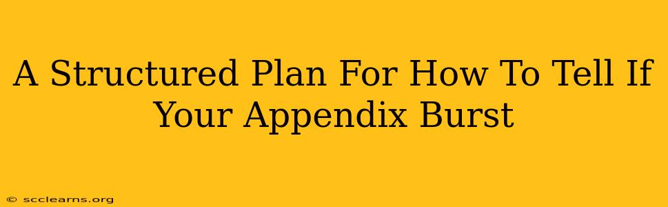 A Structured Plan For How To Tell If Your Appendix Burst