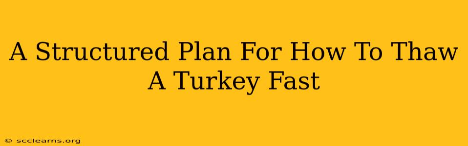 A Structured Plan For How To Thaw A Turkey Fast