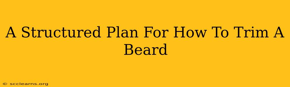 A Structured Plan For How To Trim A Beard