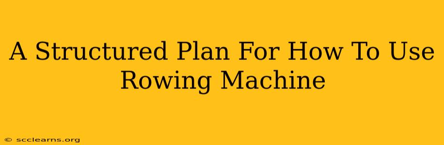 A Structured Plan For How To Use Rowing Machine