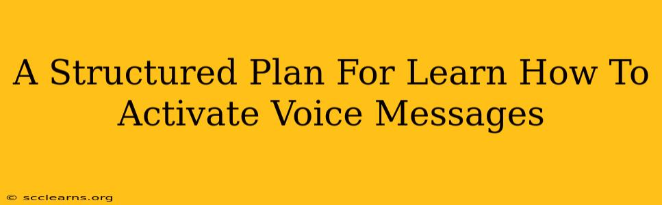 A Structured Plan For Learn How To Activate Voice Messages