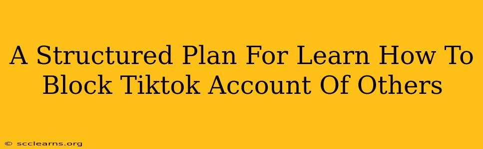 A Structured Plan For Learn How To Block Tiktok Account Of Others