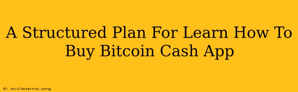 A Structured Plan For Learn How To Buy Bitcoin Cash App