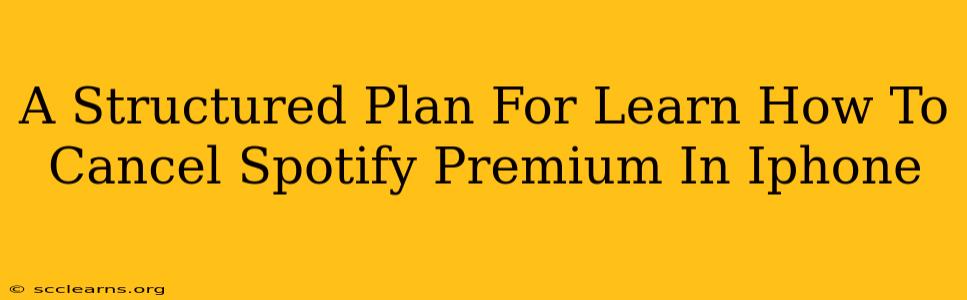 A Structured Plan For Learn How To Cancel Spotify Premium In Iphone