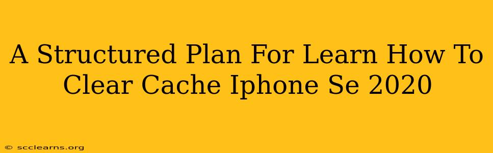 A Structured Plan For Learn How To Clear Cache Iphone Se 2020