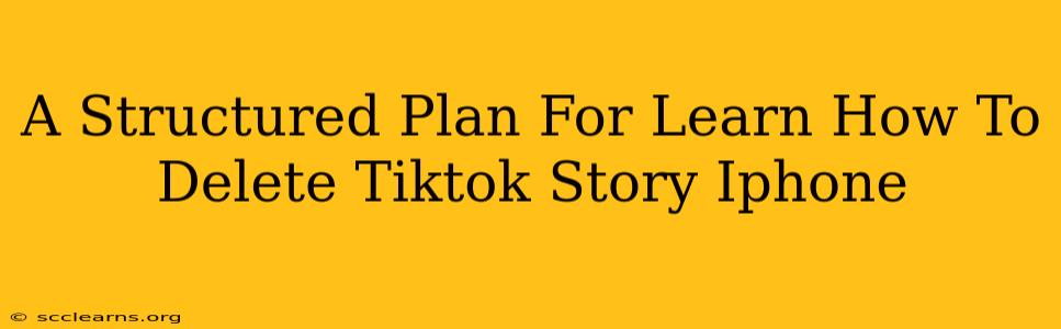 A Structured Plan For Learn How To Delete Tiktok Story Iphone