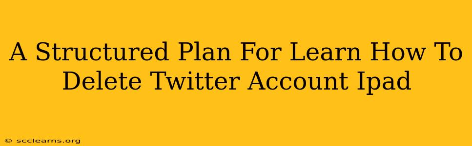 A Structured Plan For Learn How To Delete Twitter Account Ipad