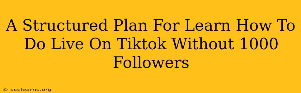 A Structured Plan For Learn How To Do Live On Tiktok Without 1000 Followers